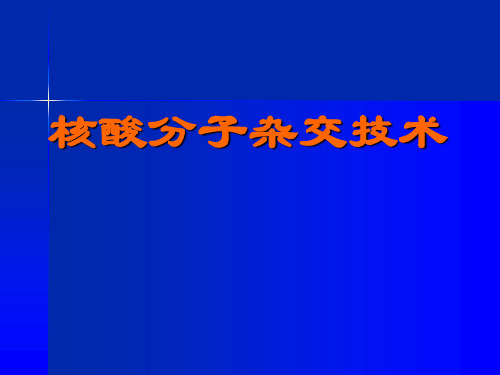 核酸杂交课件