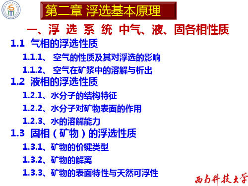 西南科技大学第二章 浮选基本原理