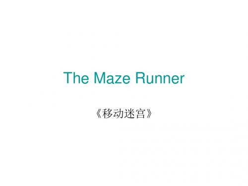 The Maze Runner