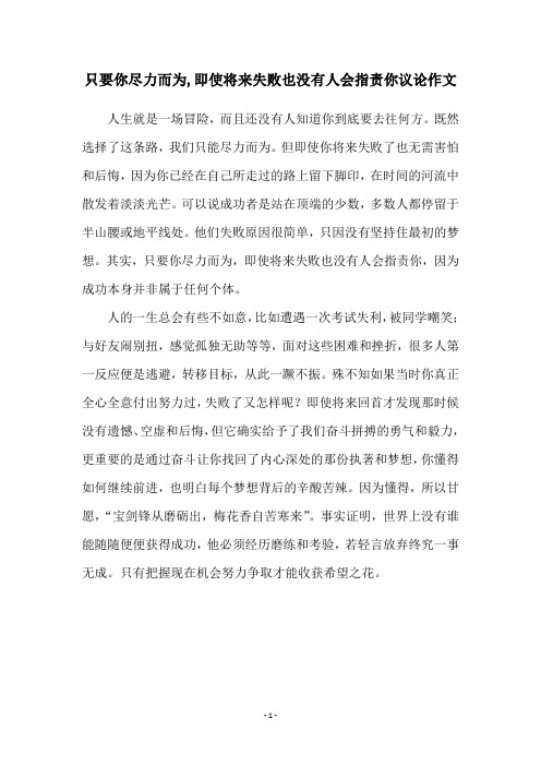 只要你尽力而为,即使将来失败也没有人会指责你议论作文