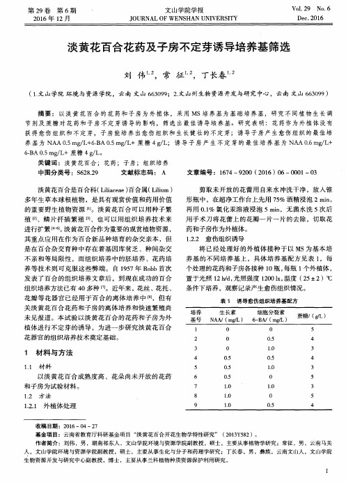 淡黄花百合花药及子房不定芽诱导培养基筛选