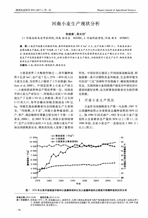 河南小麦生产现状分析