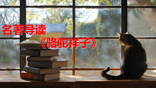 名著导读 《骆驼祥子》圈点与批注