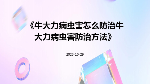 牛大力病虫害怎么防治牛大力病虫害防治方法