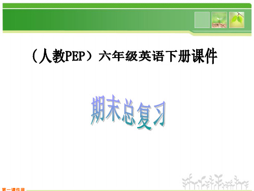 人教PEP版英语六年级下册《期末总复习》课件