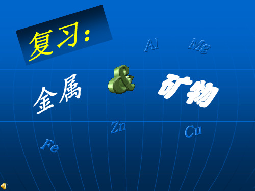 沪教版九年级上册第五章金属与矿物