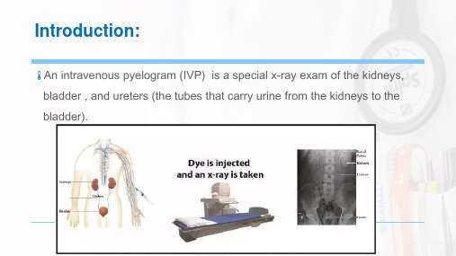静脉肾盂造影IVPppt课件.pptx
