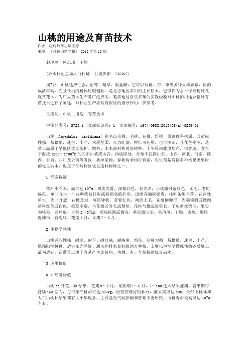 山桃的用途及育苗技术
