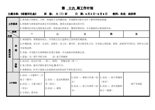 第十六周工作计划