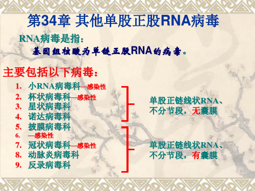 其它正链RNA病毒2014