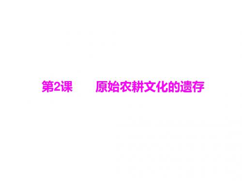 2011年随堂优化训练中国历史(中华文明的起源等5套)ppt 1