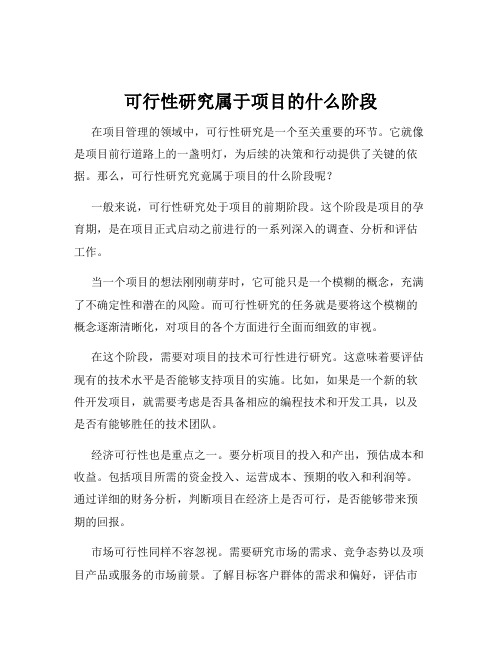 可行性研究属于项目的什么阶段