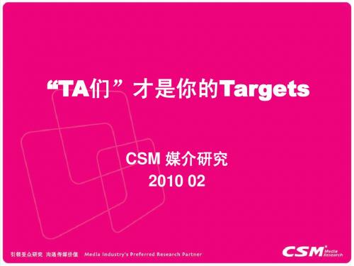 CSM 媒介研究2010 02