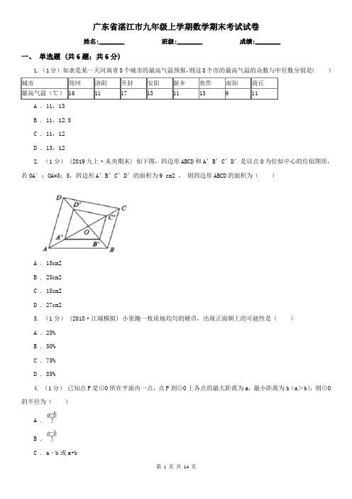 广东省湛江市九年级上学期数学期末考试试卷