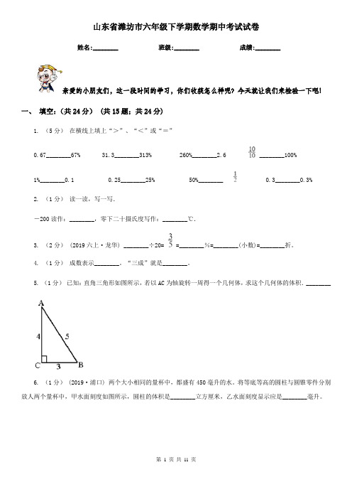 山东省潍坊市六年级下学期数学期中考试试卷