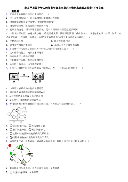 北京苹果园中学人教版七年级上册期末生物期末试卷及答案-百度文库