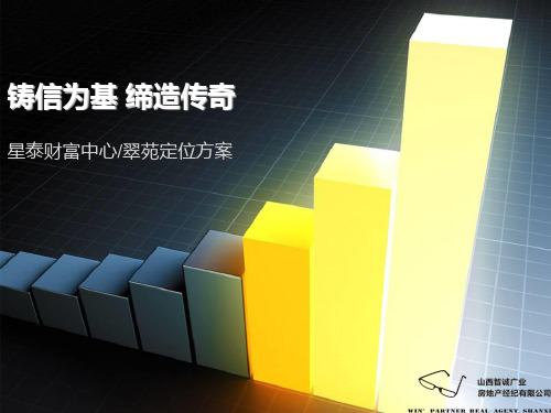 灵石星泰项目定位方案