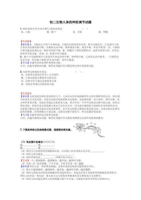 初二生物人体的神经调节试题