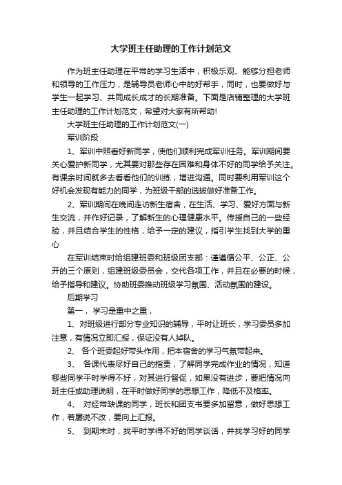 大学班主任助理的工作计划范文