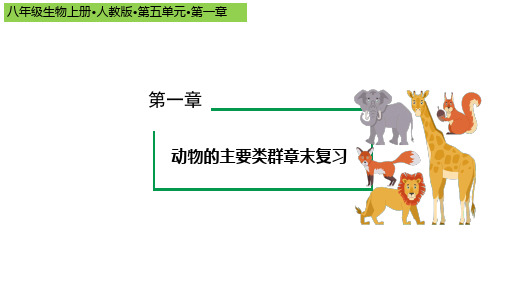 2024(人教版)生物八年级上册  第一单元复习课件