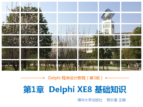 Delphi 第01章_XE8基础知识