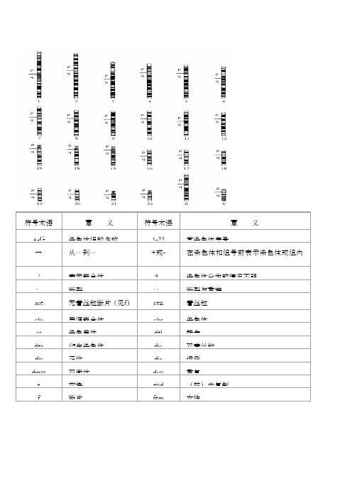 人类染色体图谱+口诀全套条