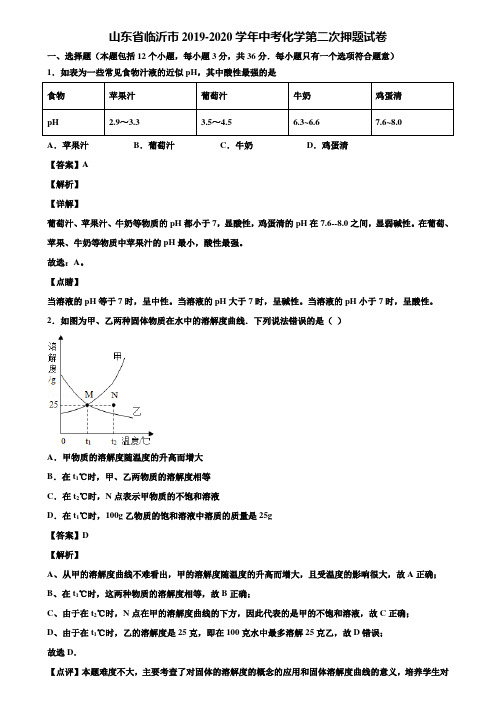 山东省临沂市2019-2020学年中考化学第二次押题试卷含解析