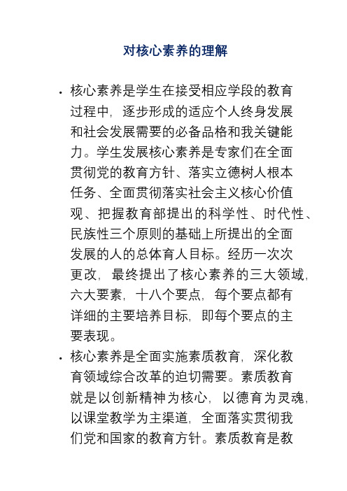 对核心素养的理解