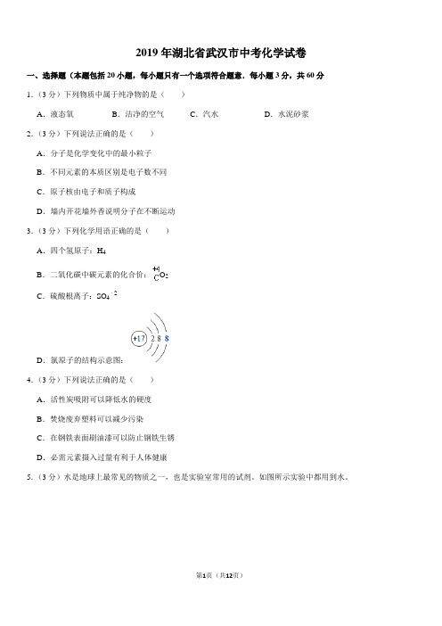 2019年湖北省武汉市中考化学试卷