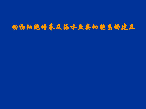 动物细胞培养及海水鱼类细胞系的建立-中山大学