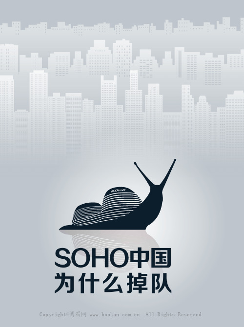 SOHS中国为什么掉队