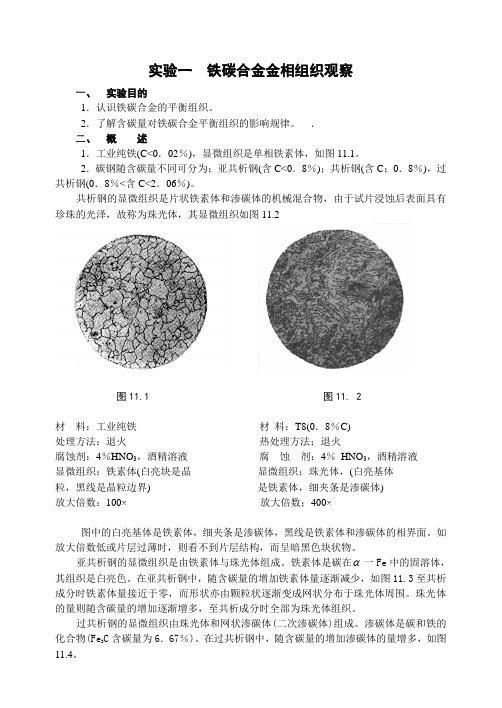 实验一  铁碳合金金相组织观察