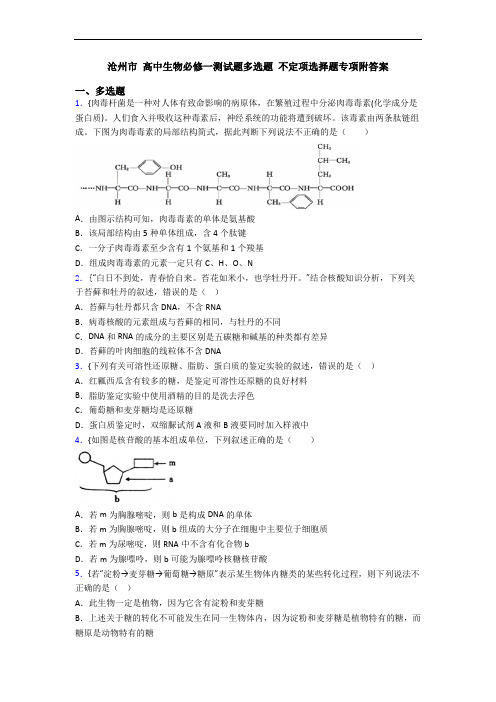 沧州市 高中生物必修一测试题多选题 不定项选择题专项附答案