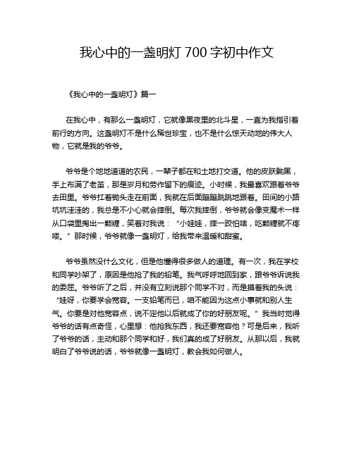 我心中的一盏明灯700字初中作文