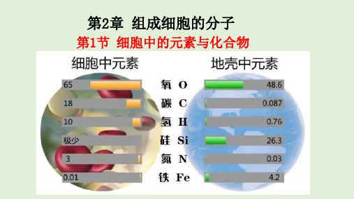 新教材高中生物必修一第二章 第1节 细胞中的元素与化合物