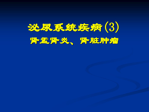 病理学课件：泌尿系统疾病3 肾盂肾炎 肾脏肿瘤