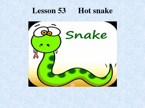 新概念英语第二册 Lesson 53 hot snake 课件(共18张PPT)