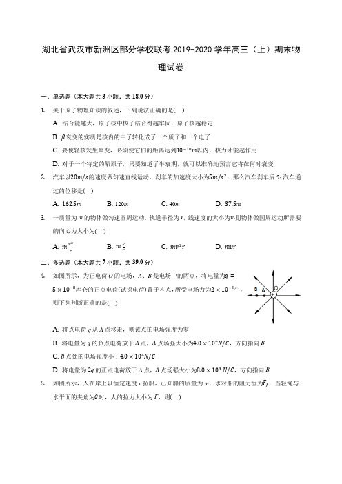 湖北省武汉市新洲区部分学校联考2019-2020学年高三(上)期末物理试卷