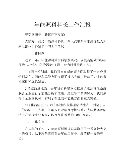 年能源科科长工作汇报