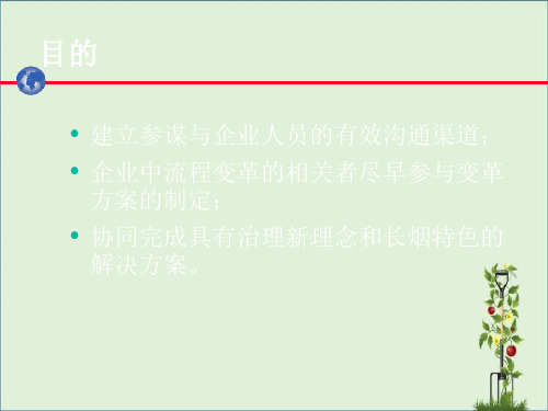 业务流程重组与ERP实施项目