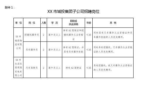 XX市城投集团子公司招聘岗位【模板】