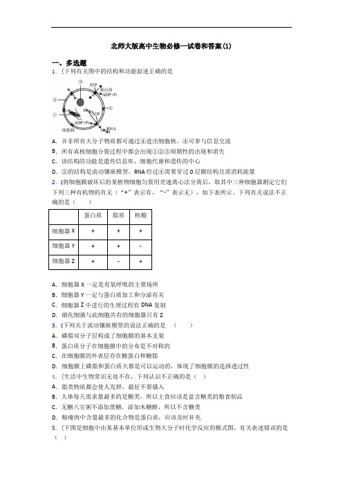 北师大版高中生物必修一试卷和答案(1)