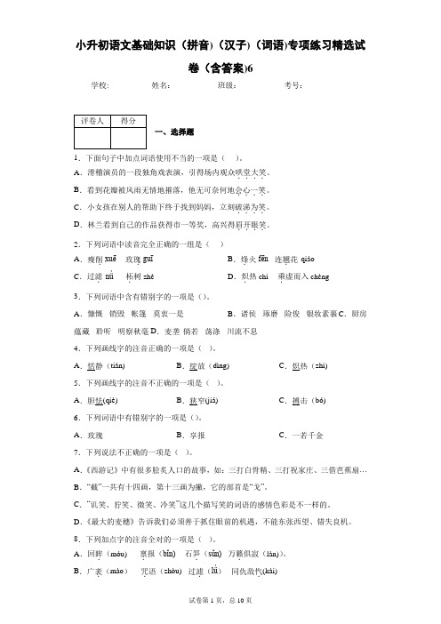 小升初语文基础知识(拼音)(汉子)(词语)专项练习精选试卷(含答案)6