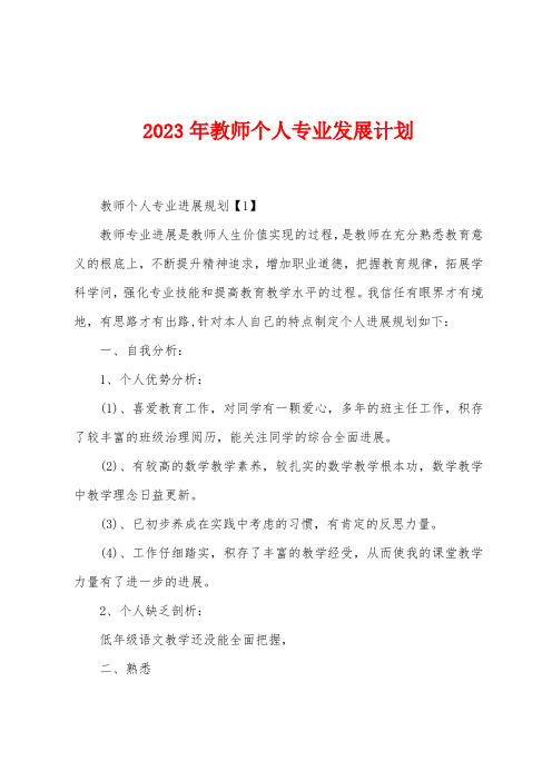 2023年教师个人专业发展计划