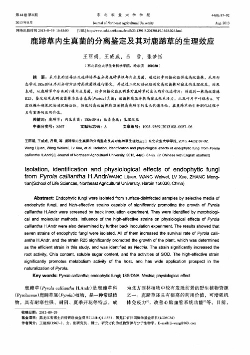 鹿蹄草内生真菌的分离鉴定及其对鹿蹄草的生理效应