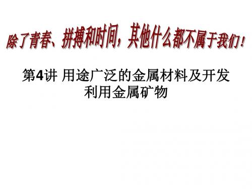 广东省惠东县高考化学一轮复习第三章金属及其化合物第