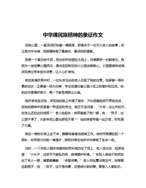 中华魂民族精神的象征作文