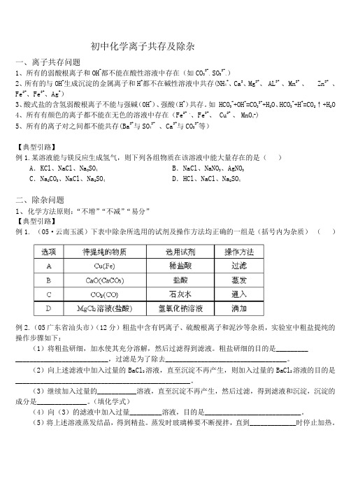 初中化学离子共存及除杂-Word版