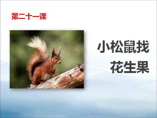 《小松鼠找花生果》PPT【优秀课件PPT】