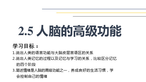 2.5 人脑的高级功能 高中生物学人教版(2019)选择性必修1课件(共18张PPT).ppt